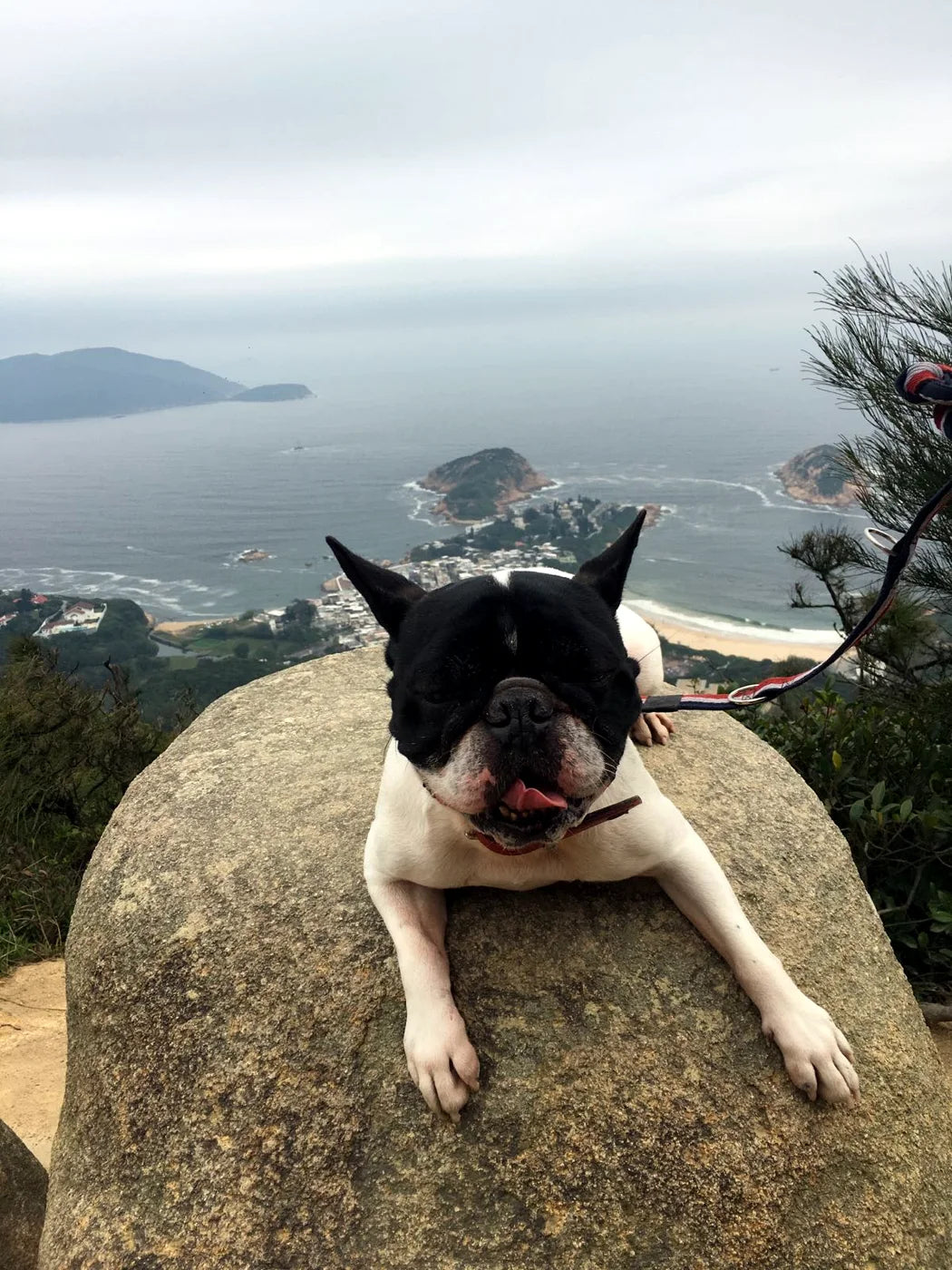 The bags came first.