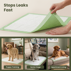 Pogi's Dog Training Pads, leak-proof puppy pee pads